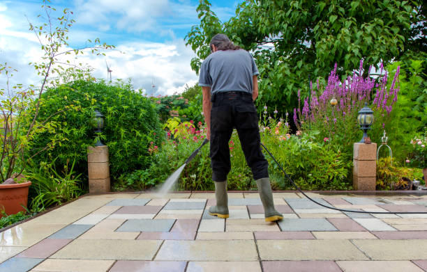 Best Pre-Holiday Cleaning  in Fort Calhoun, NE
